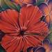 tattoo galleries/ - Realistic hibiscus plumeria flower collage Brent Olson Art Junkies Tattoo
